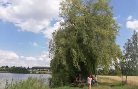 Rastplatz bei Weide am Langen Teich, © Naturpark Geras