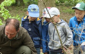 Baumkunde mit Obmann Markus Philipp, © Naturpark Geras