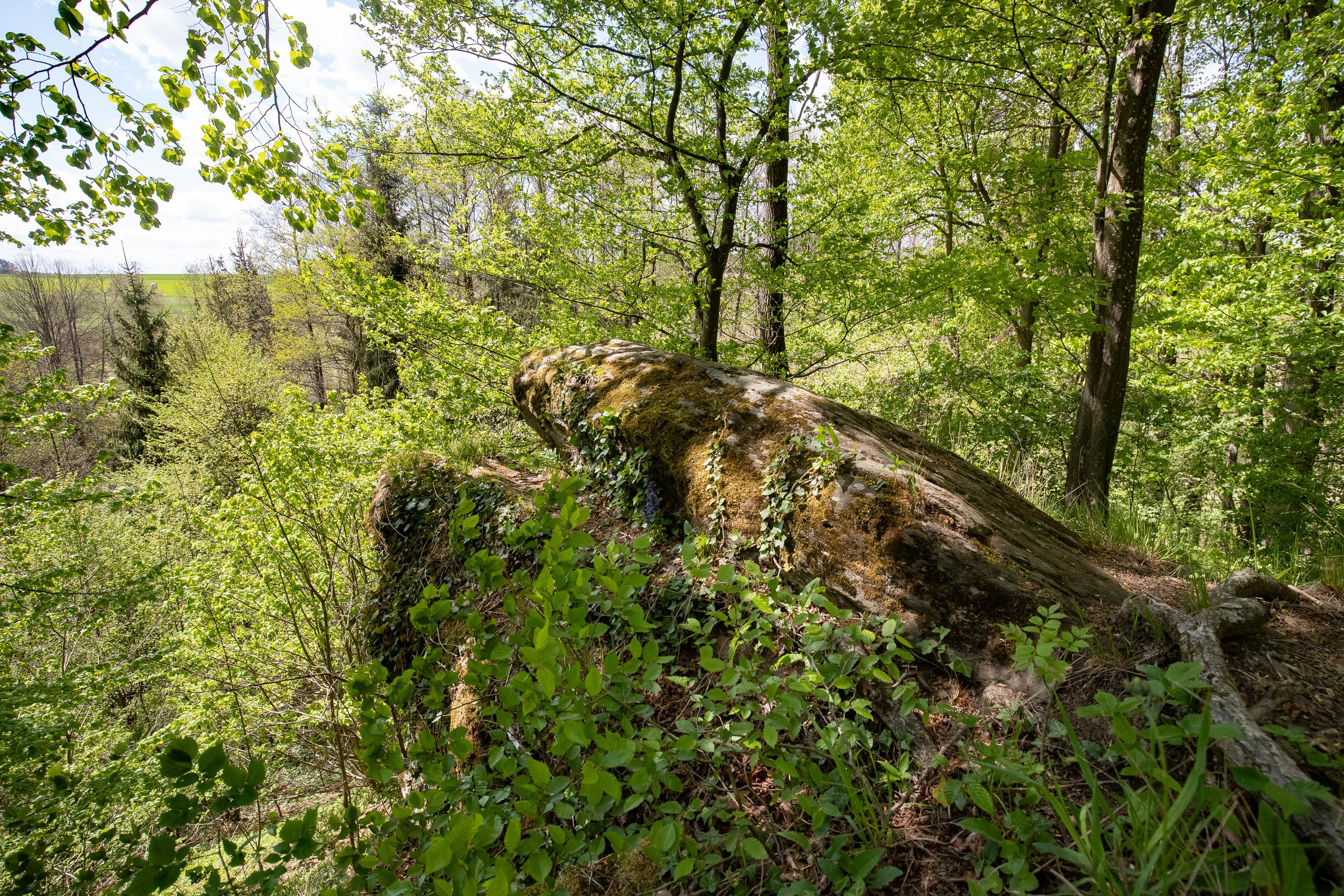 Felsenformation im Naturpark, welche wie ein Salamander geformt ist