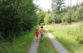 Wanderung durch Baum- und Strauchalleen, © Naturpark Geras