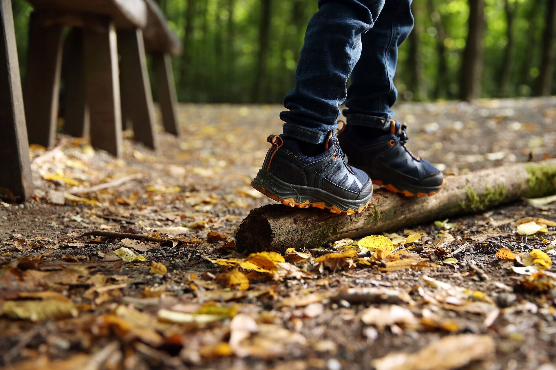 Ein Kind balanciert über einen dicken Ast mitten im Naturpark Geras. 