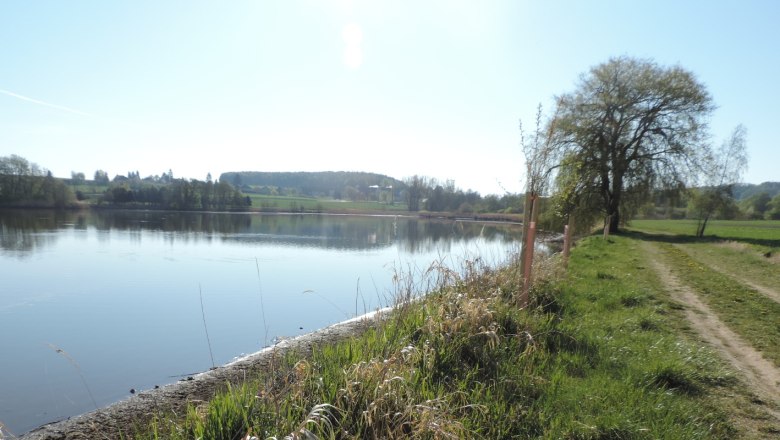 Weidenrast am Langen Teich, © Naturpark Geras, Margit