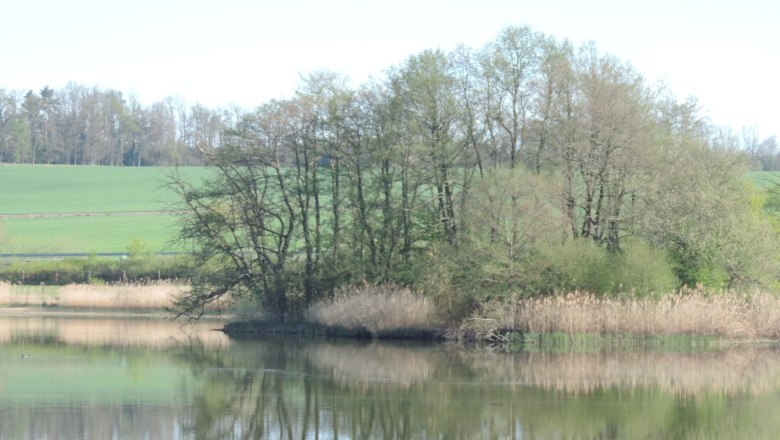 Schutz der Vögel vor Fuchs & Co, © Naturpark Geras